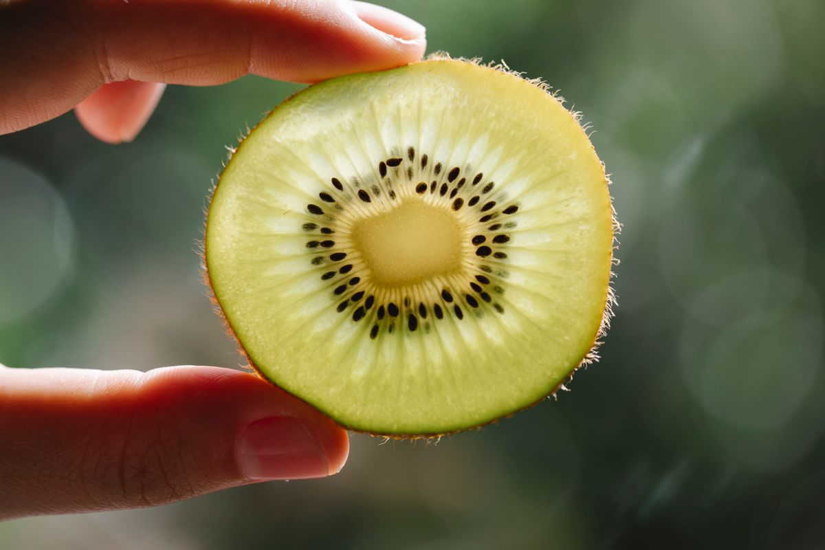 TCM's Fifth Season: Your Complete Guide to Late Summer Cooling Foods and Spleen Health