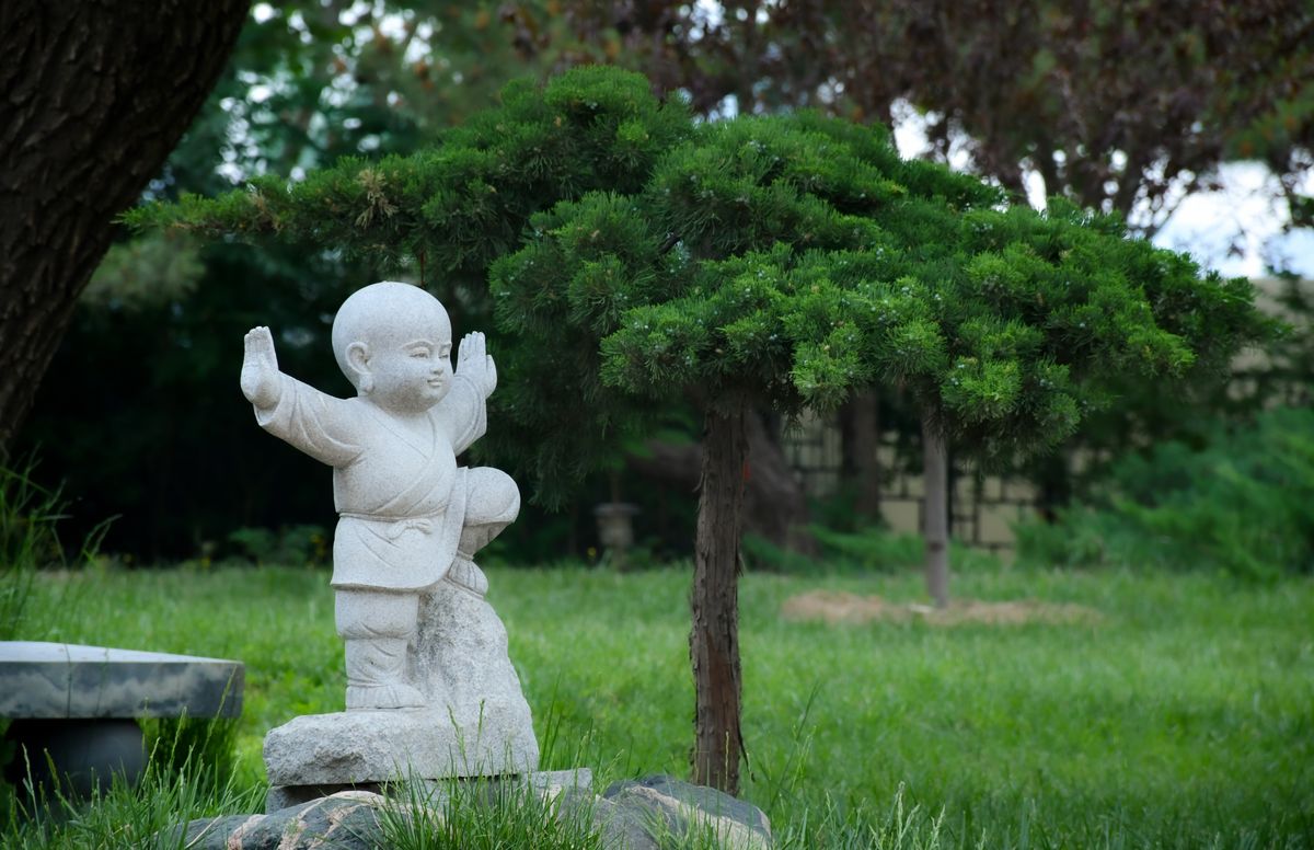 Discover 5 beginner-friendly Qi Gong exercises you can do in 10 minutes a day that may support energy, stress management, and balance — no experience needed.