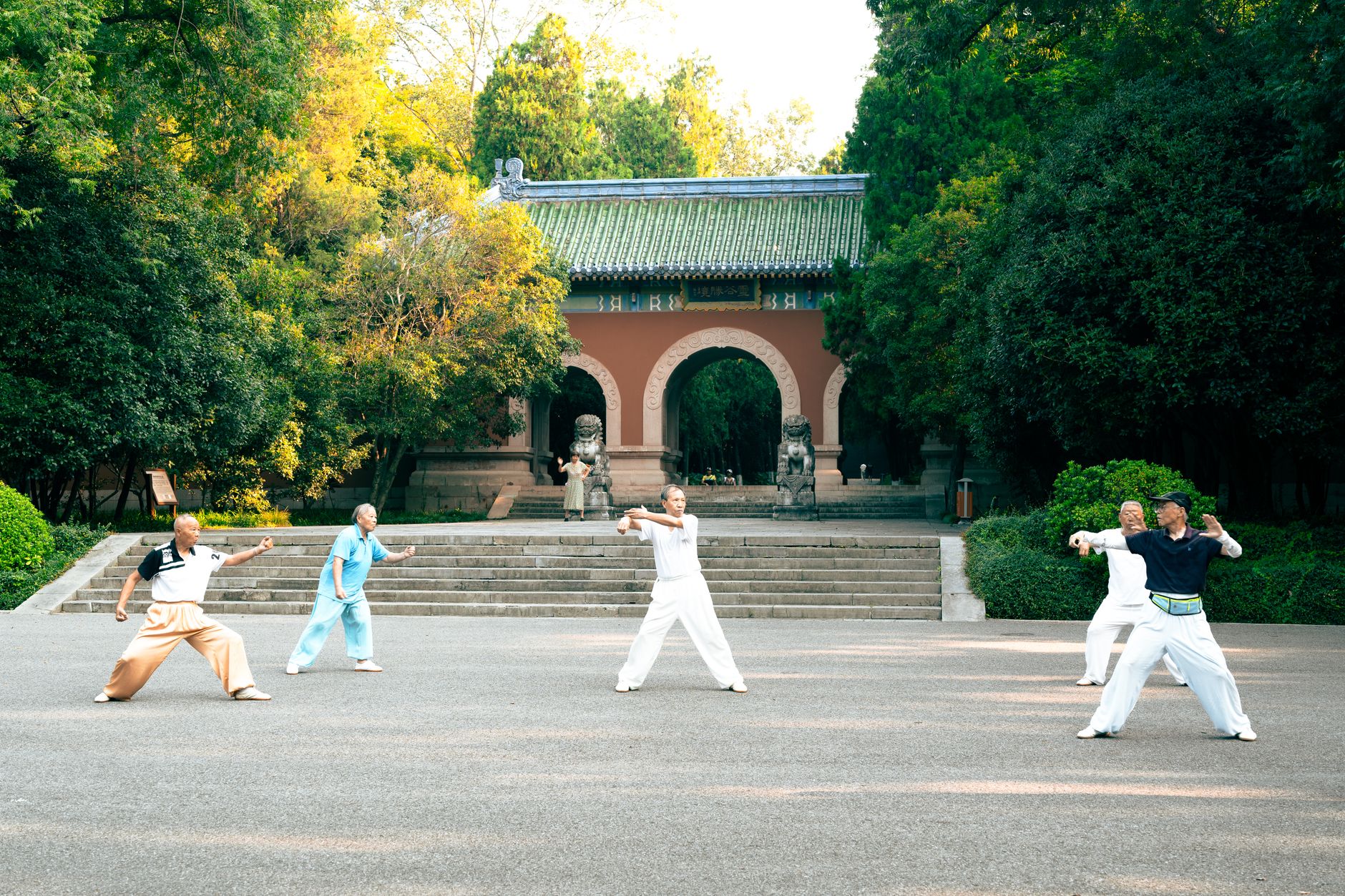 New to Tai Chi? Learn 8 foundational movements for home practice, key principles, and what to expect — a beginner's roadmap to balance and stress relief.