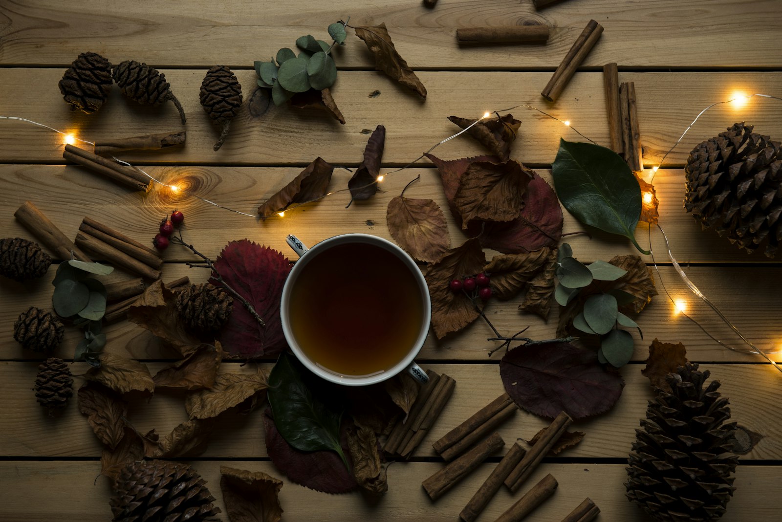 TCM for Autumn Mood & Seasonal Blues: Why Fall Feels Heavy and How Chinese Medicine Lifts It