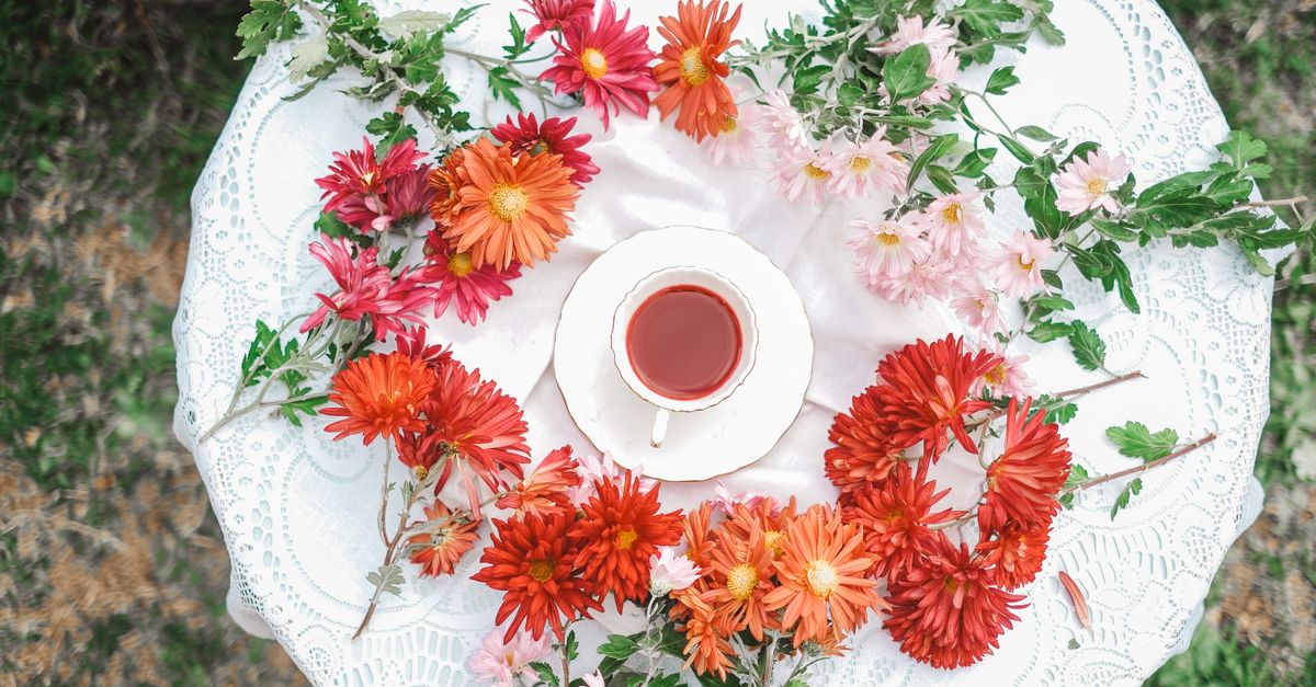 TCM for Autumn Wellness: Lung Health, Dryness Protection & Seasonal Eating Guide