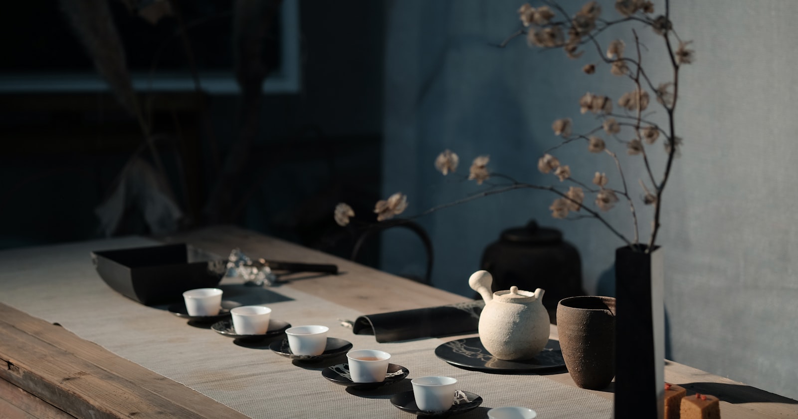 TCM Kidney Health & Jing Essence: A Traditional Framework for Vitality and Longevity