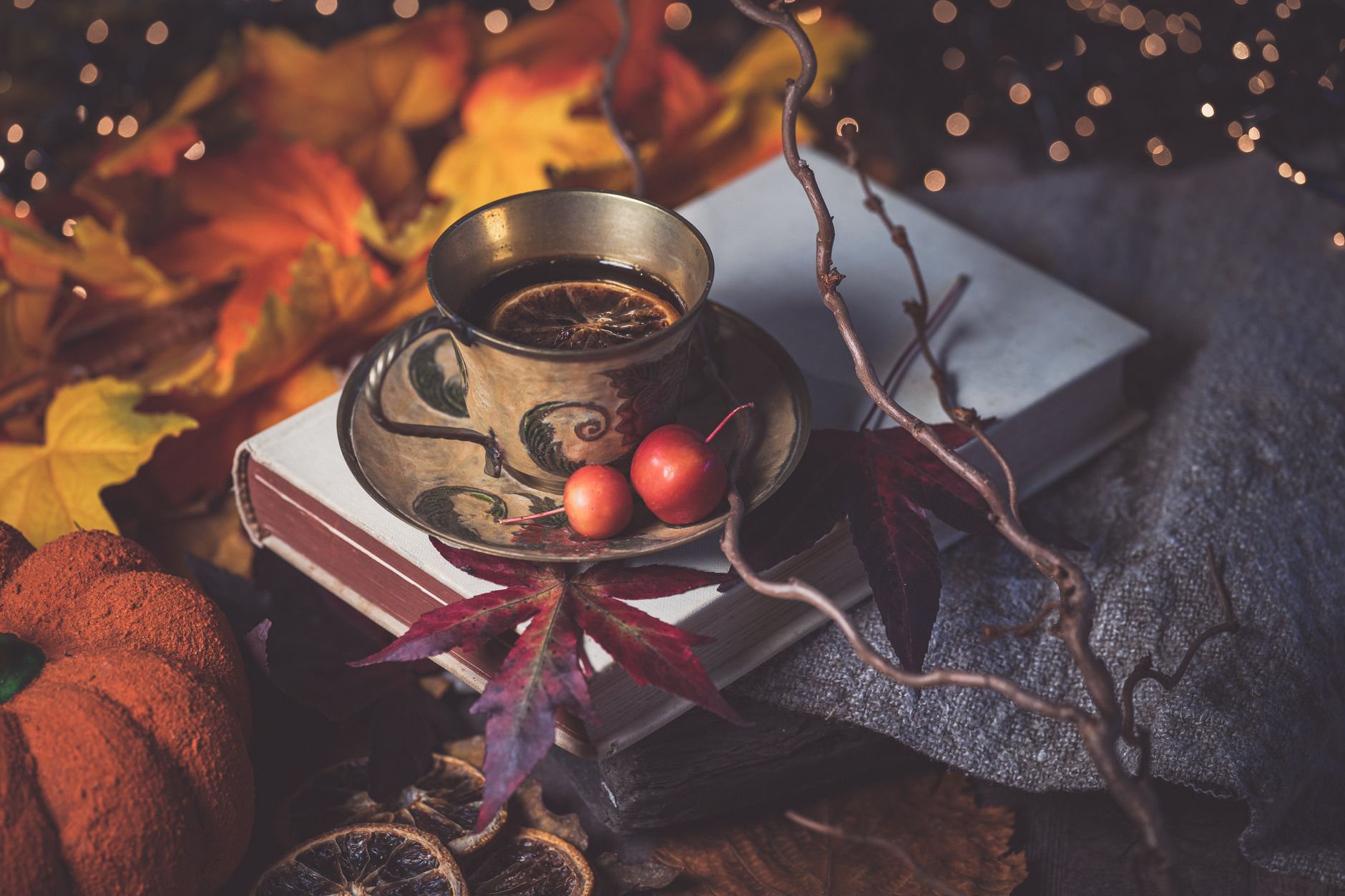 Build Your Wei Qi: A TCM Guide to Fall Immune Support Before Cold and Flu Season — What Defensive Qi Is, How Yu Ping Feng San Is Traditionally Used, a Daily Acupressure and Warming-Food Protocol, and Who Should Not Self-Treat (2026 Guide)