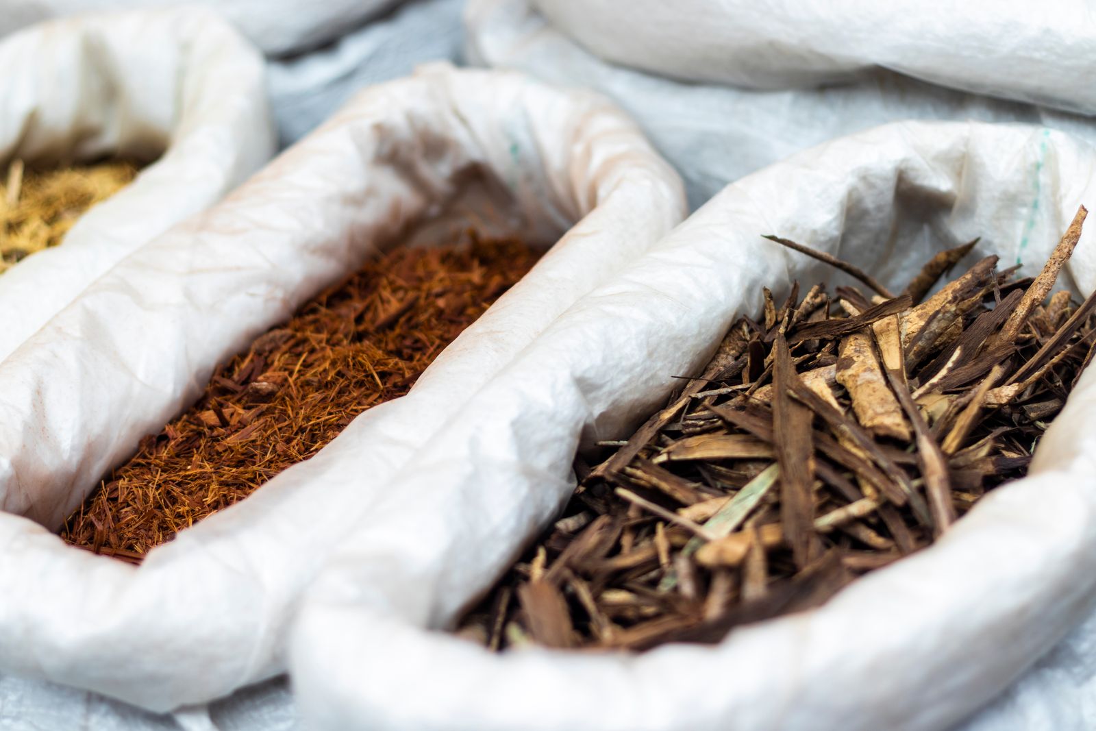 How TCM approaches weight management through Spleen Qi and dampness: herbal remedies, acupressure points, and dietary principles for healthy weight loss.